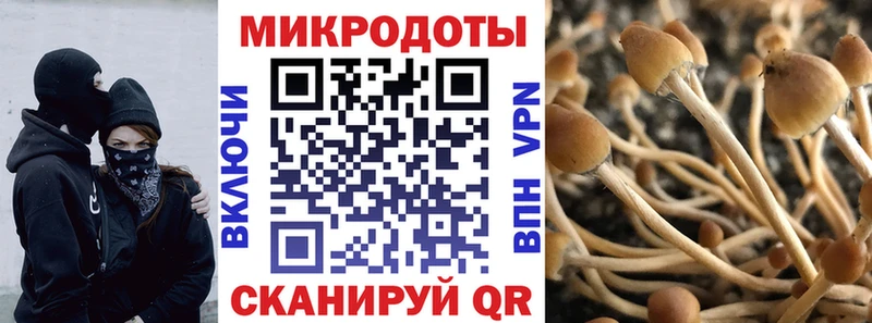 Псилоцибиновые грибы Magic Shrooms закладка ссылка на мегу ONION это состав Верхоянск